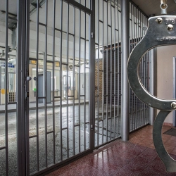 Predsjednička milost za presuđeni kriminal